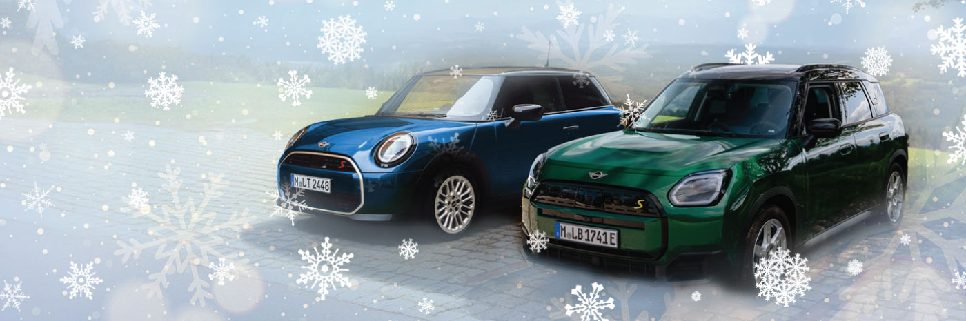 HOLIDAY MINI DEMO SALES EVENT