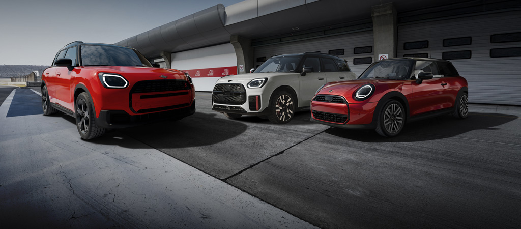 MINI Rally Sales per national