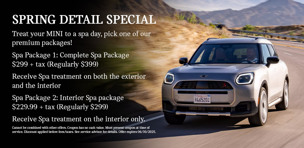 Spring Detail Special