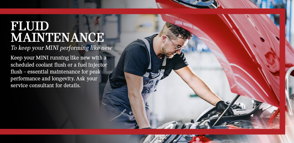 Fluid Maintenance