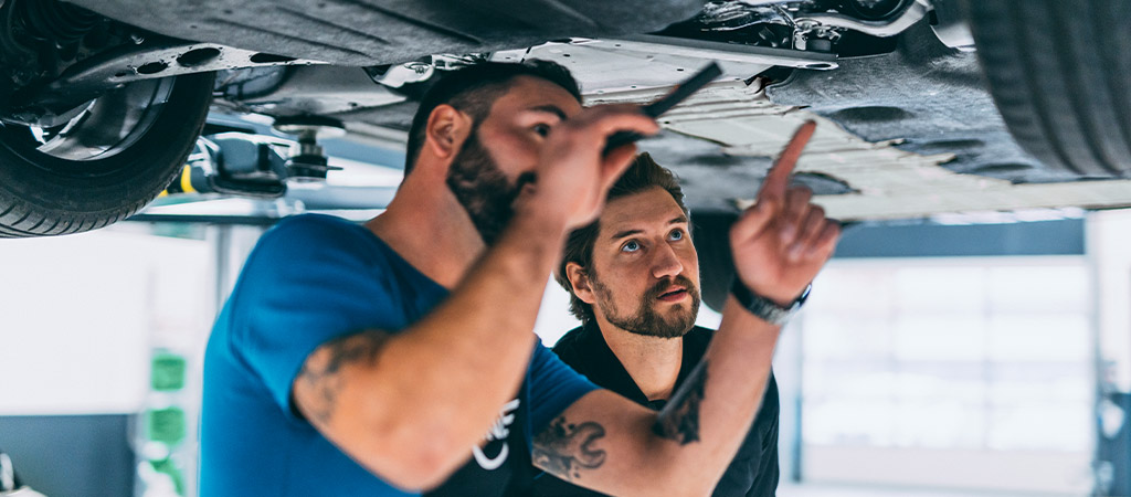 Complimentary video multi-point inspection