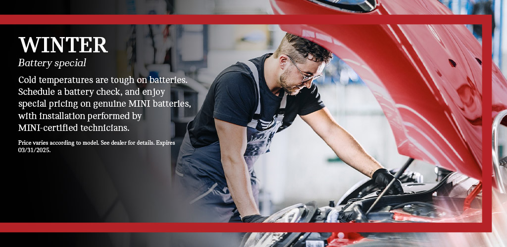 Winter battery special​