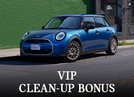 VIP clean-up bonus​