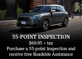 55-Point Inspection