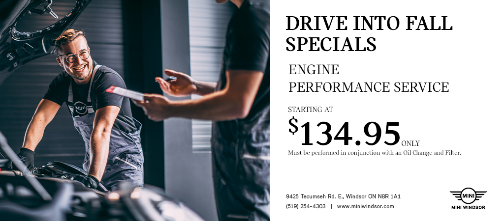 ENGINE PERFORMANCE SERVICE