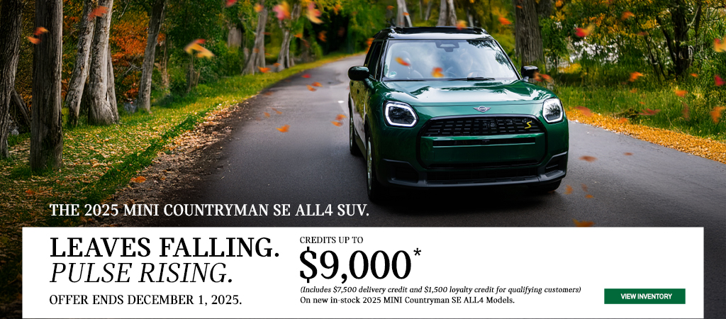 Leaves Falling Pulse Rising