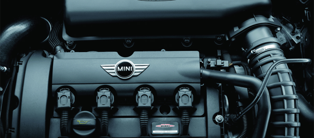 MINI Fuel Injector Flush Special Offer: $185